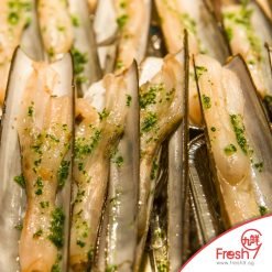 Alternative view of Premium Razor Clam