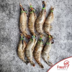 Premium Scampi Shrimp  (River Prawn / Thai Prawn) 8pcs per set