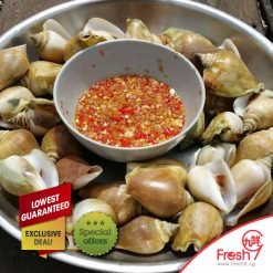 Gong Gong(Sea Conch) ($1) 500g
