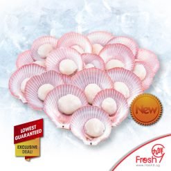 Half Shell Pink Scallop ($1)