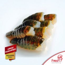 Premium Australia Mini Lobster Tail(Yabbies)