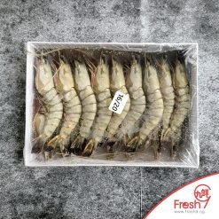 Alternative view of Premium Large Tiger Prawn (16/20)