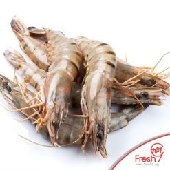 Alternative view of Premium Fresh Tiger Prawn (500g/15-20pcs)