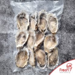 Half Shell Oyster (8-9cm/per pc x 12pcs)
