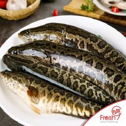 Alternative view of Premium Toman Slice / Snakehead Slice(500g/pkt)