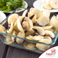 White Clam (1kg/pkt)