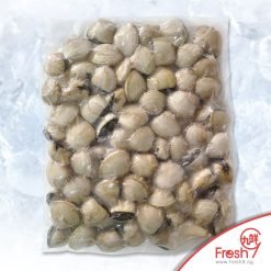 Alternative view of White Clam (1kg/pkt)